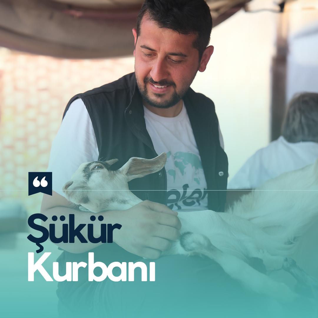 Şükür Kurbanı