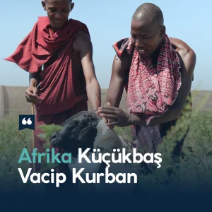 Afrika Küçükbaş Vacip Kurban