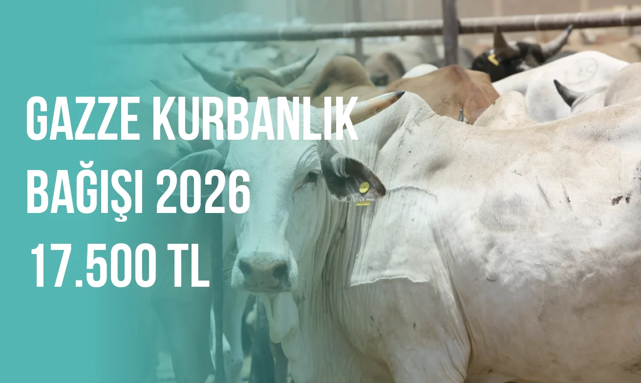 Gazze kurbanlık bağışı 2026 17.500 TL
