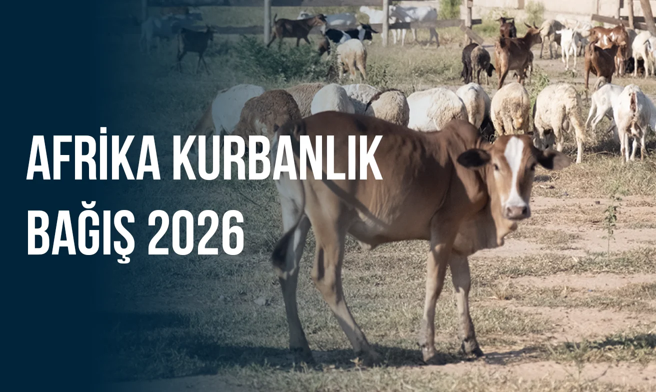 Afrika Kurbanlık Bağış 2026: Paylaşmanın ve İbadetin En Anlamlı Hali